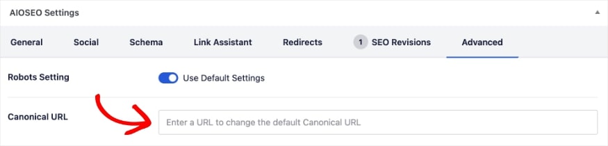 Customize canonical URLs with AIOSEO advanced settings.