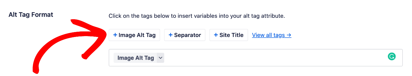 Alt Tag Format field in Image SEO settings