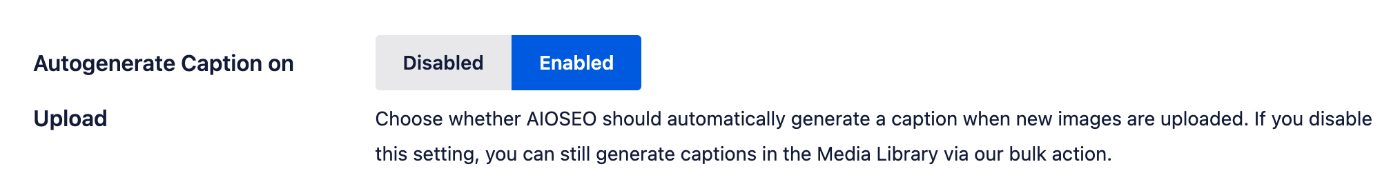 Autogenerate Caption on Upload setting in Image SEO settings