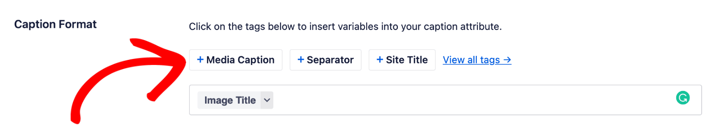 Caption Format field in Image SEO settings