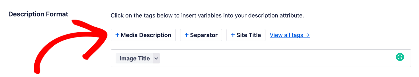 Description Format field in Image SEO settings