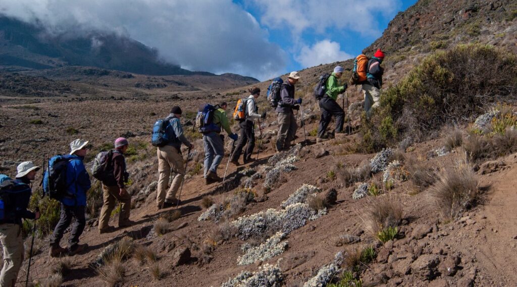 hikers on mt. kilmajaro