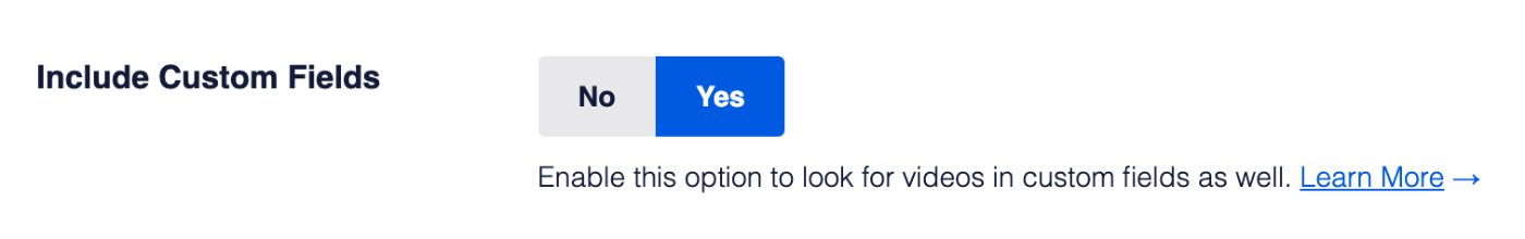 Include Custom Fields setting in Video Sitemap Advanced Settings