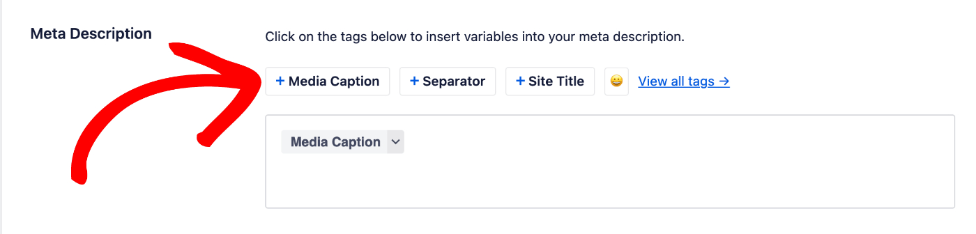 Meta Description field in Home Page Settings