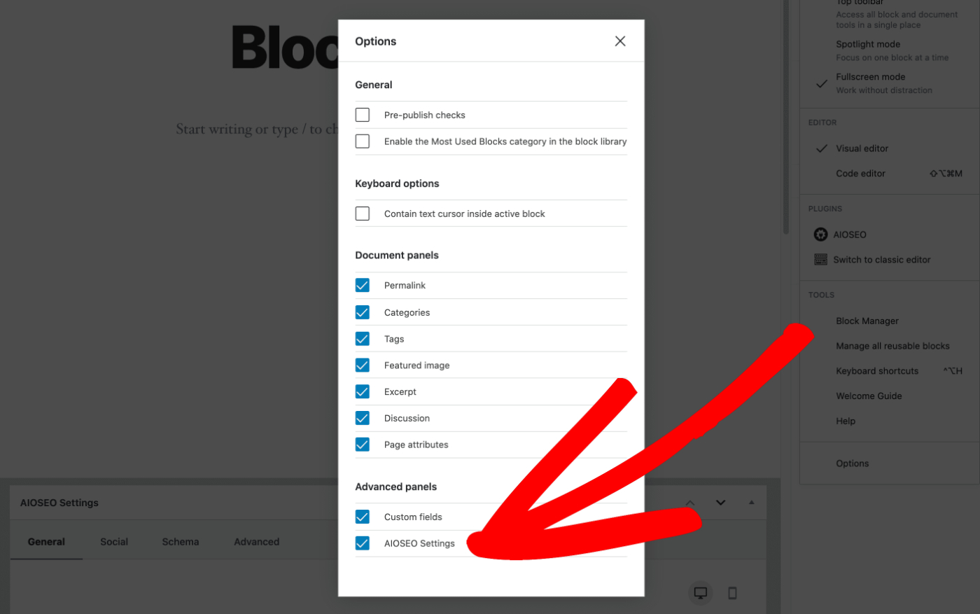 Screen Options window in the WordPress Block Editor