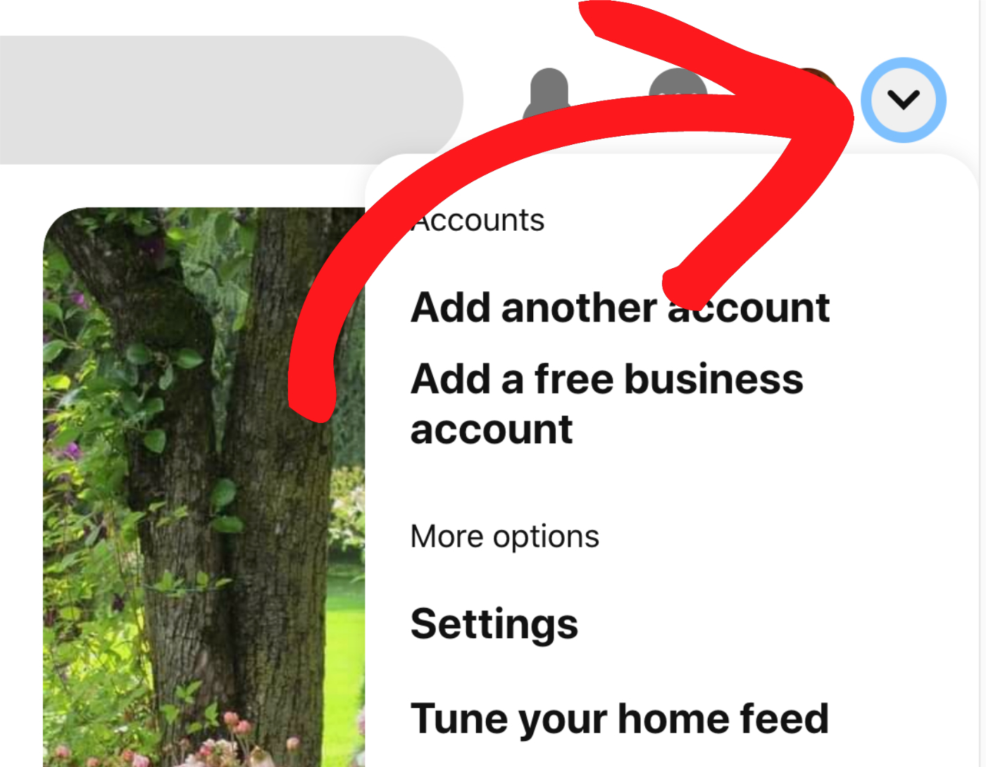 Settings menu in Pinterest