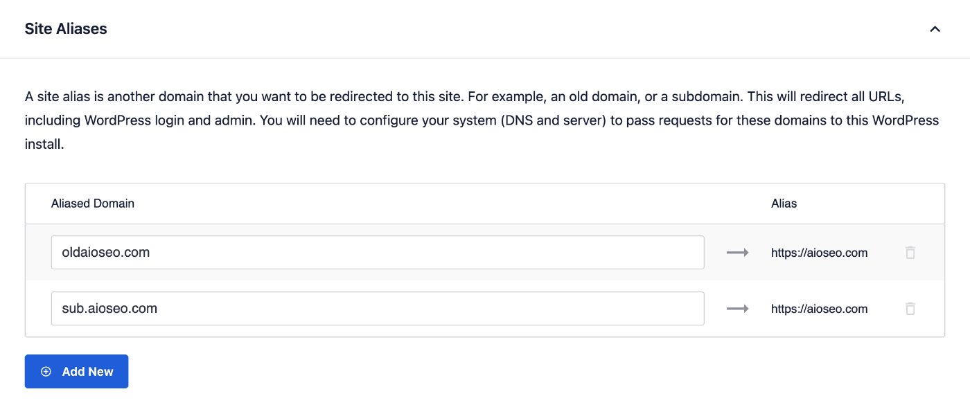 Site Aliases setting in All in One SEO