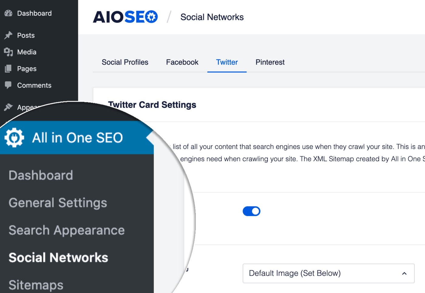 Social Networks menu item in the All in One SEO menu