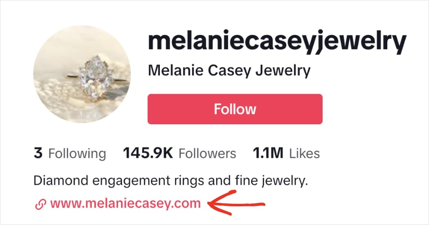 Melanie Casey's TikTok bio has a link to her website.