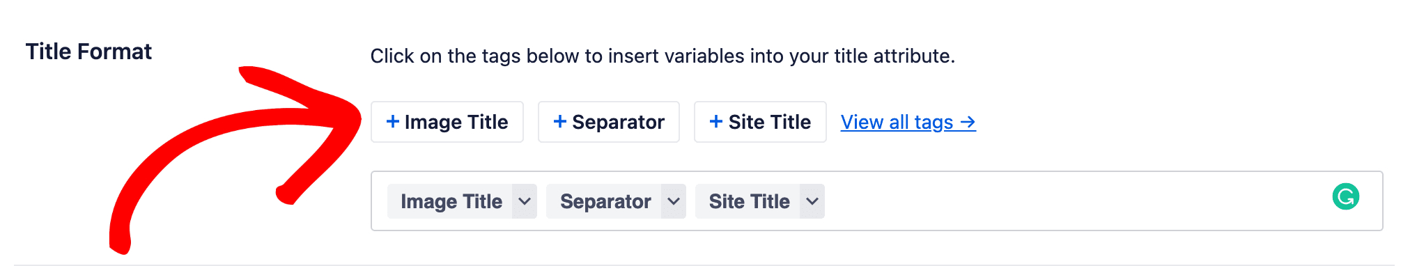 Title Format field in Image SEO settings