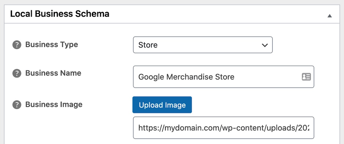 Local Business Schema Settings