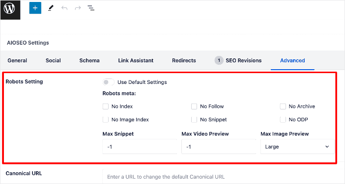 AIOSEO custom robots meta tag directives